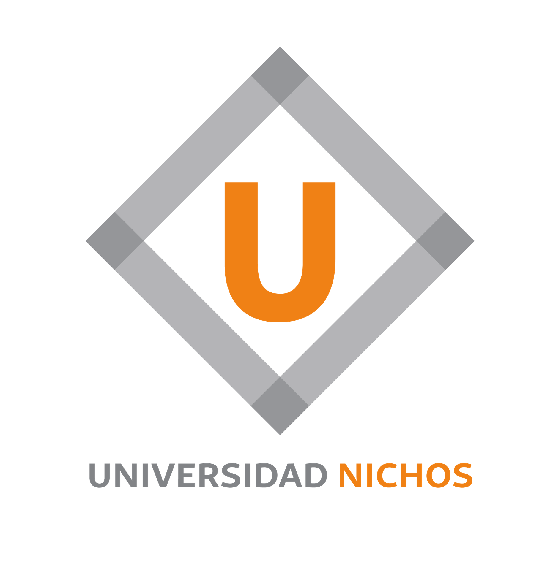 Logo-Universidad-Nichos-cuadrado